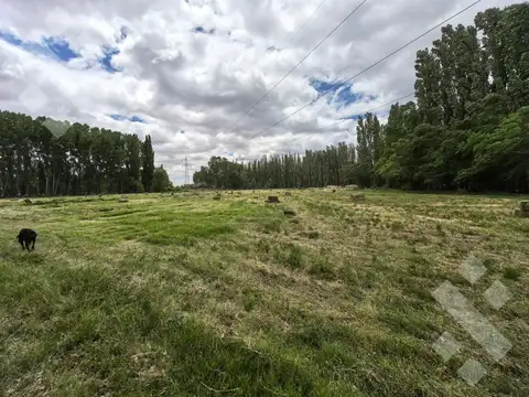 zona rural picun leufu -39.521059, -69.313200