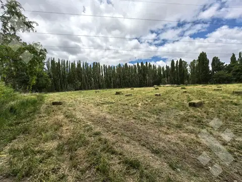 Chacra en Picun Leufu