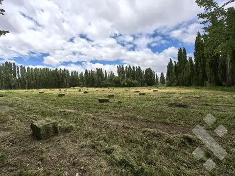 Chacra en Picun Leufu