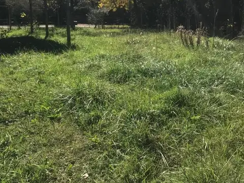 Terreno En Parque Irizar C 11075
