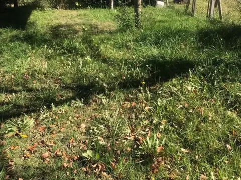 Terreno en Venta de 1000,0 m2