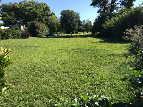 Teresa Urdapilleta Propiedades