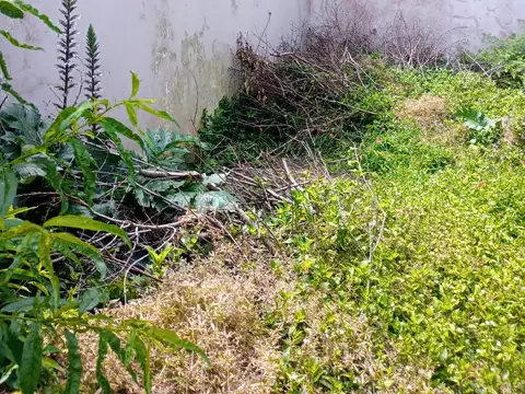 Terreno en Venta en Martin, USD 295.000