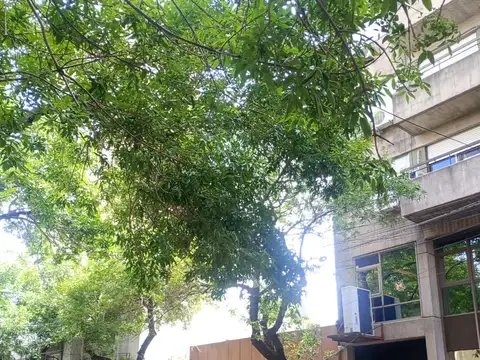 Terreno en venta en  Barrio Martin