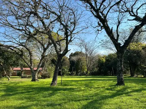 Terreno en Venta 259,10  mts Frente