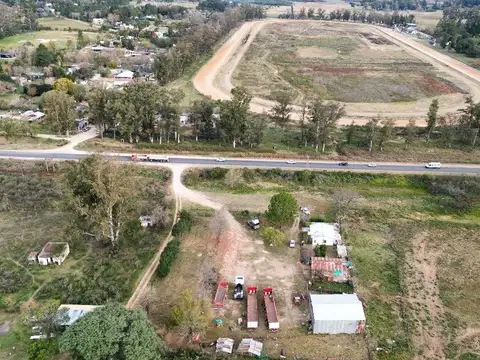 Ruta 39