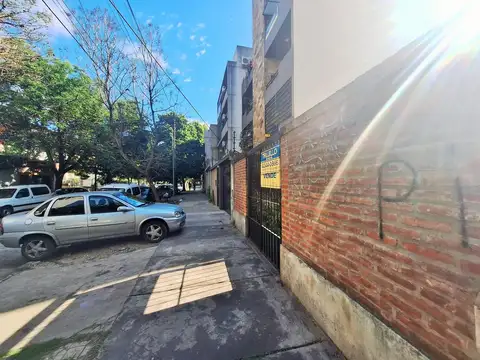 Carlos Pellegrini 300
