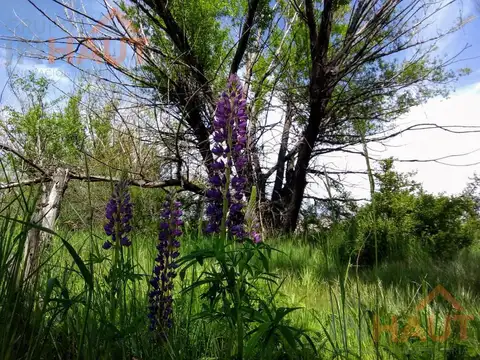 Terreno en Venta 35  mts Fondo