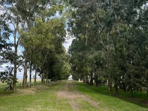 Campo en Venta de 0,04  ha