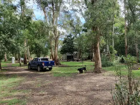 EN VENTA EN EXALTACION DE LA CRUZ PARADA ROBLES; PROPIEDAD SOBRE LOTE DE 3050M2 - FICHA 8975