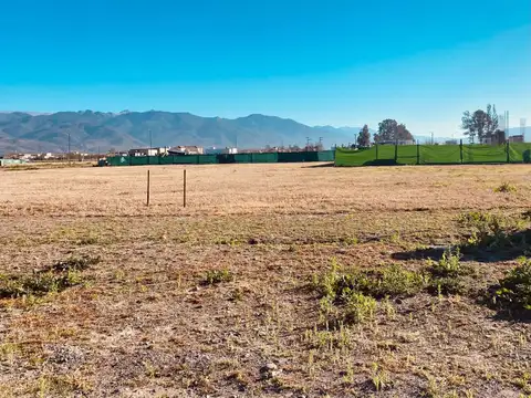 Las Chuñas, San Lorenzo Chico 100