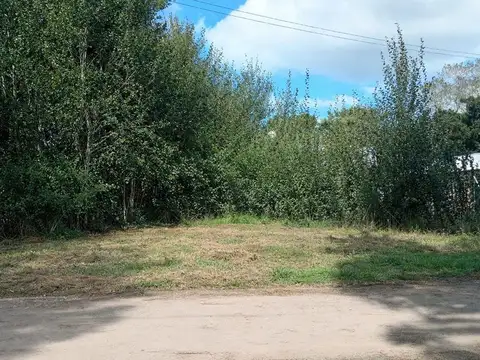VENTA LOTE FELIX U CAMET 252 M2