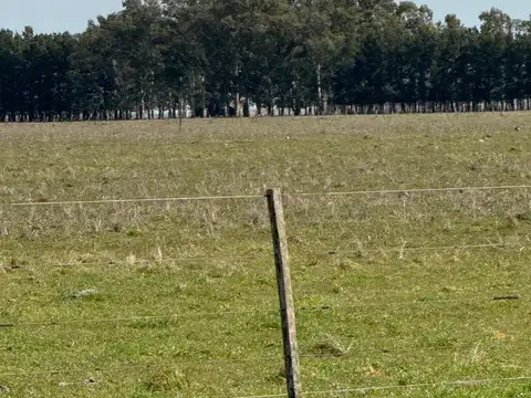 Campo en Venta de 372  ha
