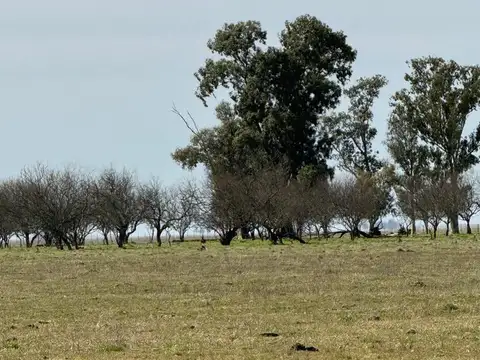 A 3000 metros de Ruta 30