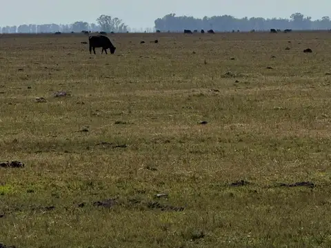 Campo en Venta con Alambrado