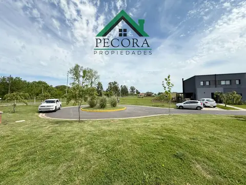 Santa Elisa - Lote 227 - Interno - Cul de sac - Pilar del Este