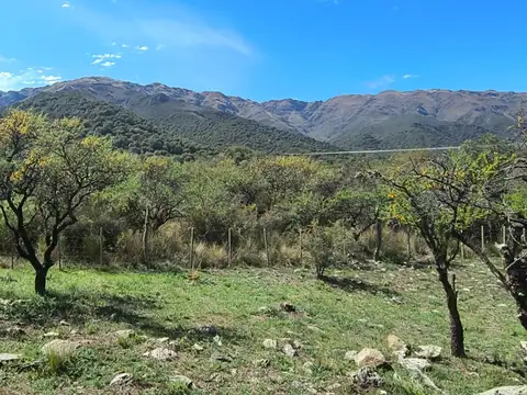 Terreno en Venta de 1000,0 m2