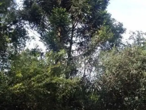 Terreno en Venta en Manuel B Gonnet, USD 450.000