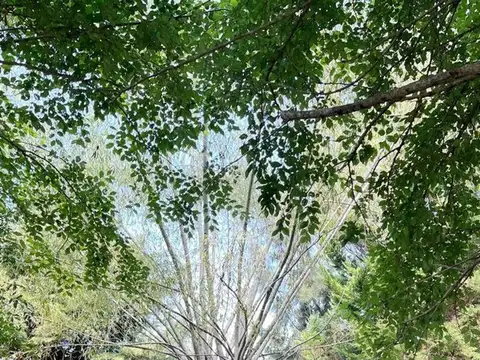Fortín Chascomús 300