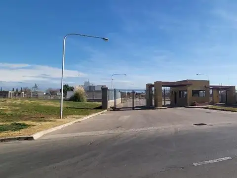 Liniers Los Olivos 1500