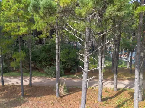 Terreno en Venta de 857,0 m2