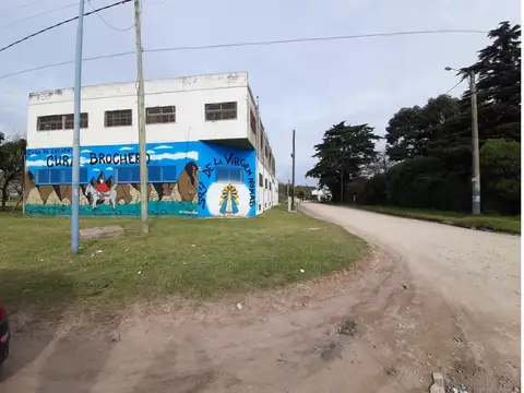 Colon 10000