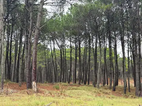 Terreno en Venta 20  mts Frente