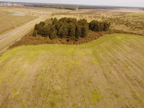 81 has campo agrícola ganadero en venta en Dpto. Concordia ER