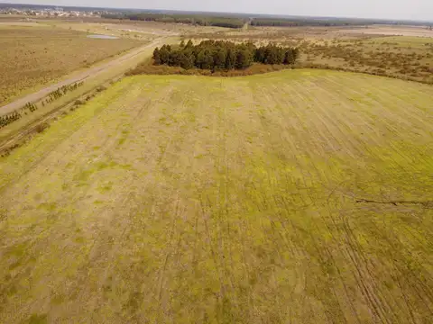 Campo en Venta Ganadero