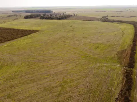 Campo en Venta con Alambrado