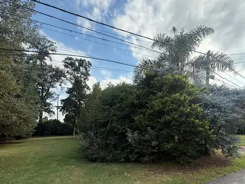 Terreno en Venta de 477,0 m2