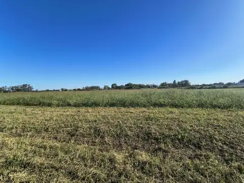 Terreno en Venta 64  mts Fondo