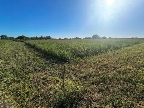 Terreno en Venta en Miramar, USD 30.000