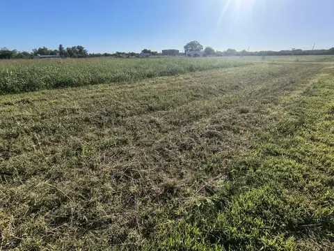 CALLE PUBLICA  S/N - MIRAMAR DE ANSENUZA - SAN JUSTO - CORDOBA