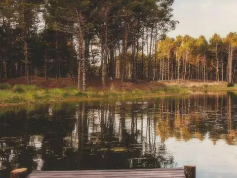 Terreno en Venta en Villarobles, USD 250.000