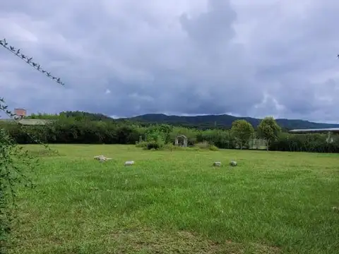 La Merced Chica, Ruta 51