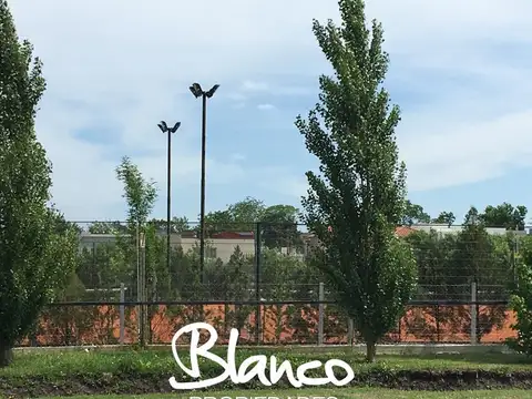 Terreno en Venta en Pilar Del Este, USD 95.000