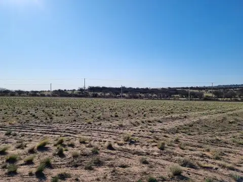 Lote de 1 hectárea en loteo "El Bagual" - Toay