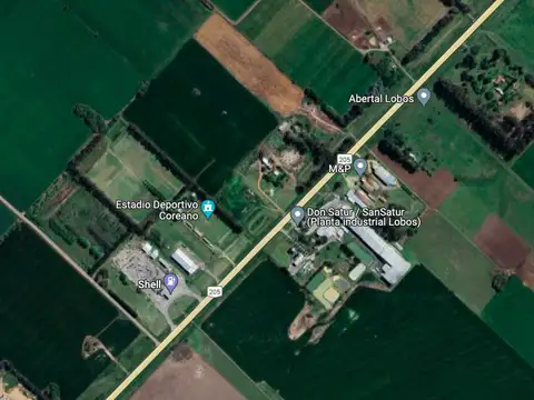 Campo 4,7 Has. – Sobre RN 205 – Lobos