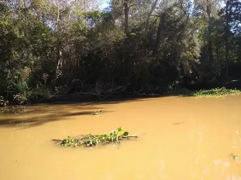 Rio / Arroyo Felicarias 100