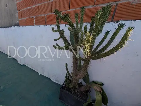 Depto Tipo Casa 3 ambientes con 1 baño