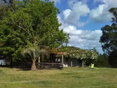 Casa en Alquiler de 1 dormitorio