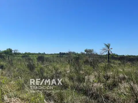 Terreno en Venta de 30000,0 m2