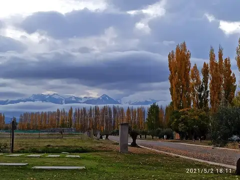 Terreno en Venta de 1000,0 m2