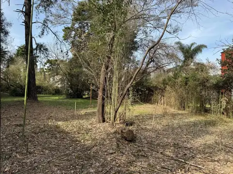Terreno en Venta de 300,0 m2