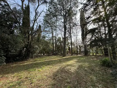 Terreno en Venta de 300,0 m2