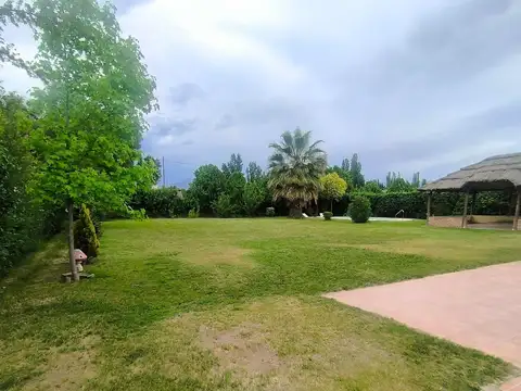 callejon comunero Muñoz 100