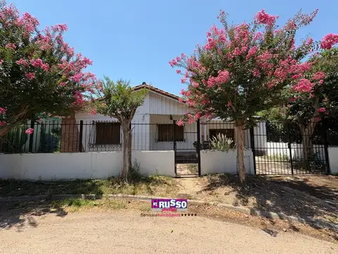 EL MACUCO 100
