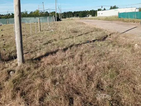 Terreno en Venta en Villa Floresta, USD 30.000