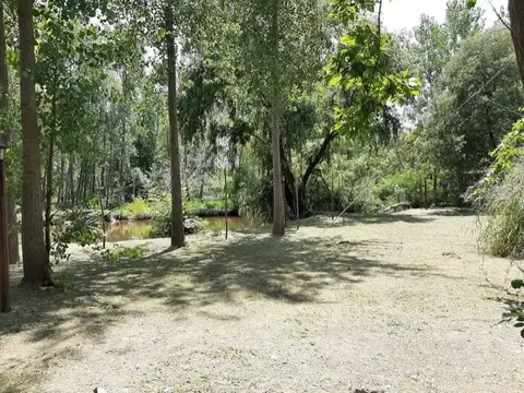 ARROYO PACIFICO SN DELTA TIGRE